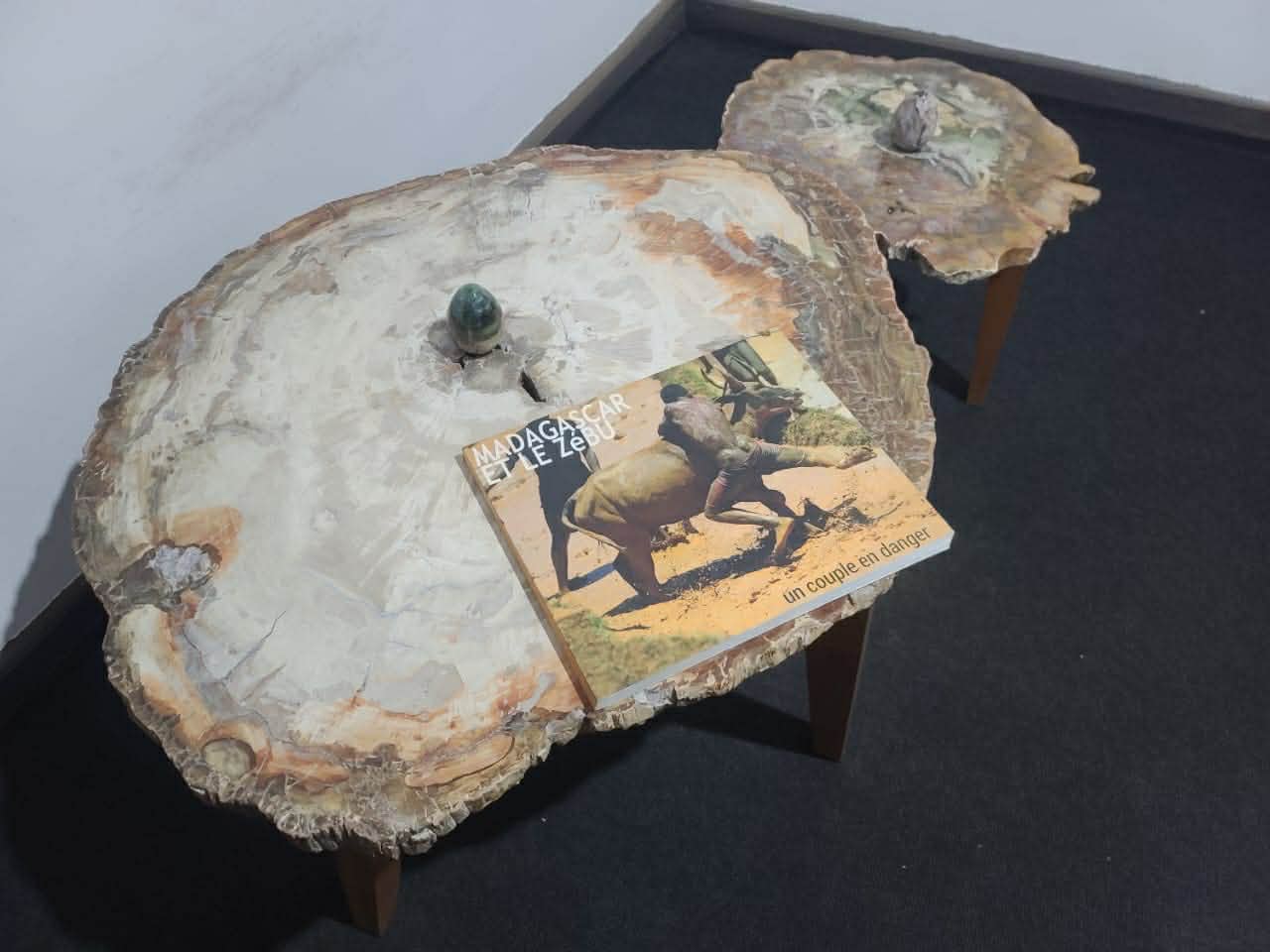 Trust & Transparency